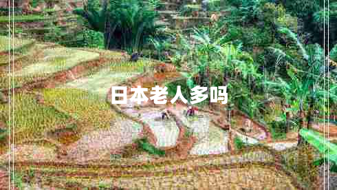 日本老人多嗎 日本老人多嗎