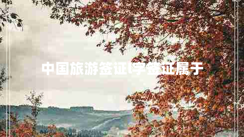 中國旅游簽證l字簽證屬于