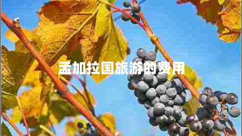 孟加拉國旅游的費用