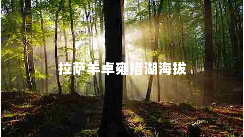 拉薩羊卓雍措湖海拔 拉薩羊卓雍措湖海拔