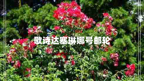 歌詩(shī)達(dá)塞琳娜號(hào)郵輪 歌詩(shī)達(dá)塞琳娜號(hào)郵輪