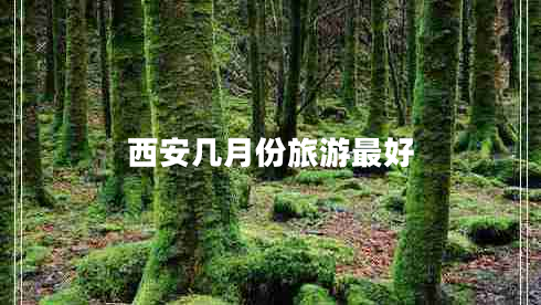 西安幾月份旅游最好 西安幾月份旅游最好