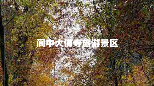 閬中大佛寺旅游景區(qū) 閬中大佛寺旅游景區(qū)