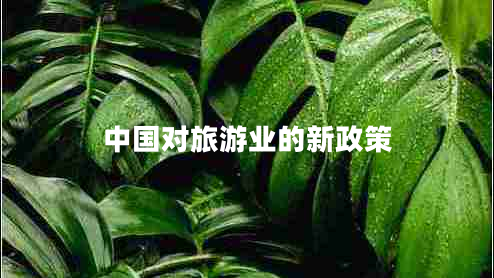 中國對旅游業(yè)的新政策