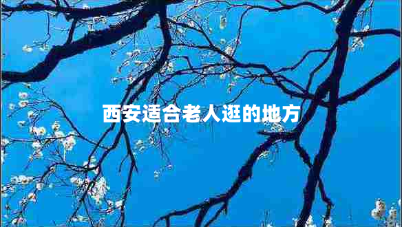 西安適合老人逛的地方