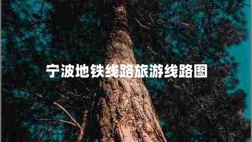 寧波地鐵線路旅游線路圖 寧波地鐵線路旅游線路圖