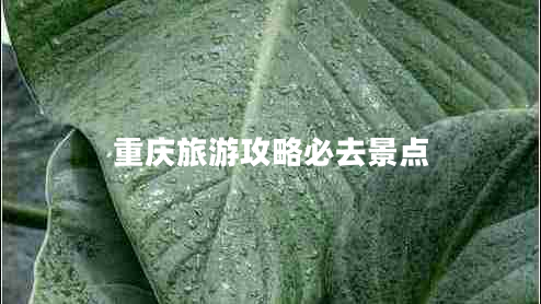 重慶旅游攻略必去景點(diǎn) 重慶旅游攻略必去景點(diǎn)