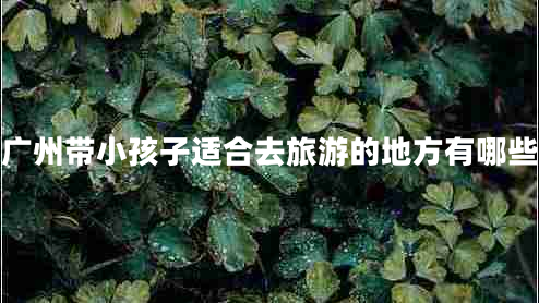 廣州帶小孩子適合去旅游的地方有哪些