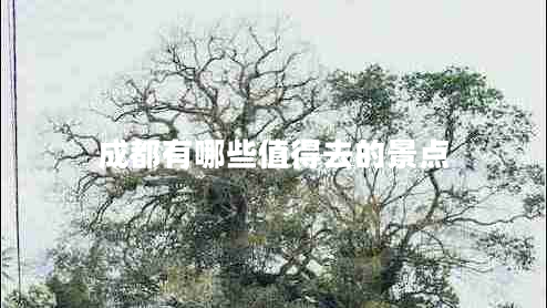 成都有哪些值得去的景點(diǎn) 成都有哪些值得去的景點(diǎn)