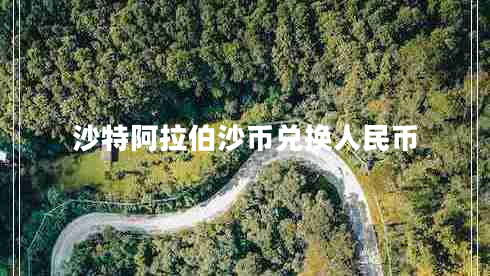 沙特阿拉伯沙幣兌換人民幣