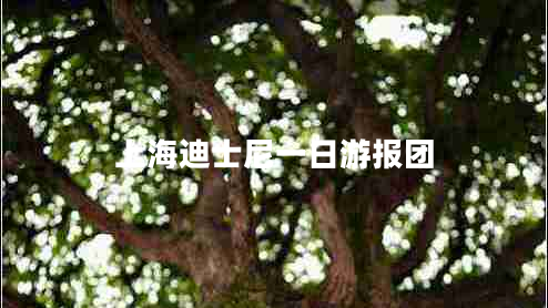 上海迪士尼一日游報團 上海迪士尼一日游報團