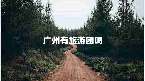 廣州有旅游團嗎 廣州有旅游團嗎