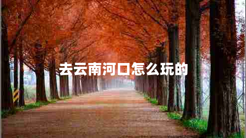 去云南河口怎么玩的 去云南河口怎么玩的