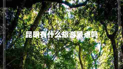 昆明有什么旅游景點嗎 昆明有什么旅游景點嗎