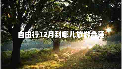 自由行12月到哪兒旅游合適 自由行12月到哪兒旅游合適