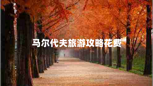 馬爾代夫旅游攻略花費 馬爾代夫旅游攻略花費