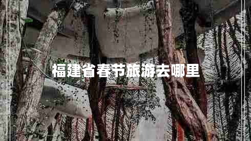 福建省春節(jié)旅游去哪里 福建省春節(jié)旅游去哪里