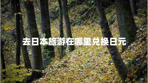 去日本旅游在哪里兌換日元 去日本旅游在哪里兌換日元