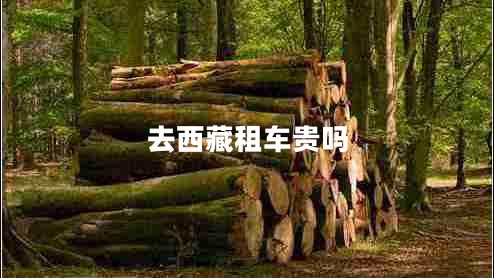 去西藏租車(chē)貴嗎 去西藏租車(chē)貴嗎