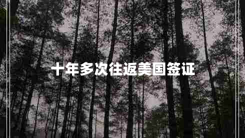 十年多次往返美國簽證 十年多次往返美國簽證