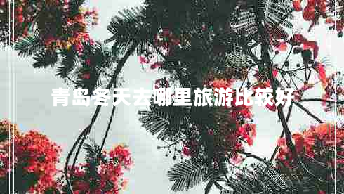 青島冬天去哪里旅游比較好 青島冬天去哪里旅游比較好