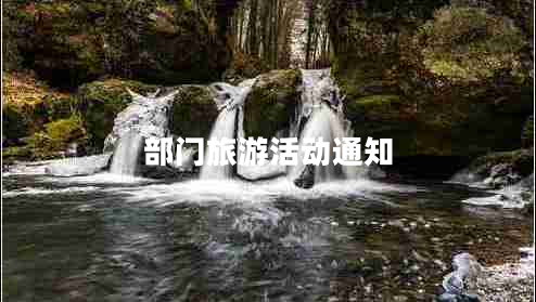 部門旅游活動通知