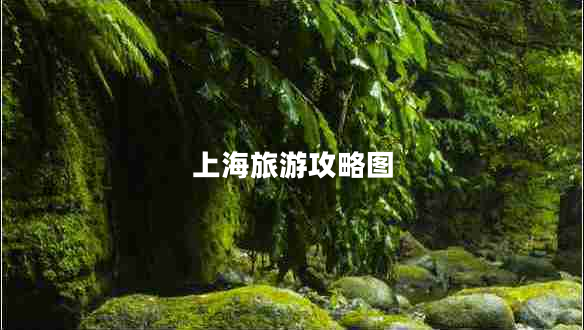 上海旅游攻略圖 上海旅游攻略圖