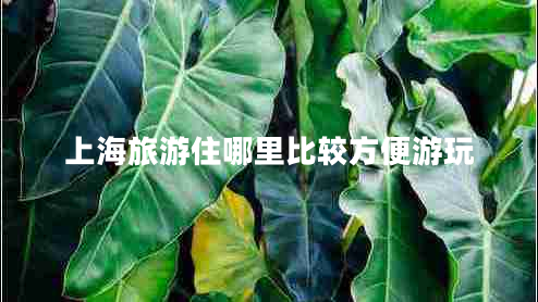 上海旅游住哪里比較方便游玩