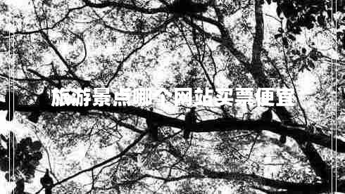 旅游景點哪個網(wǎng)站買票便宜 旅游景點哪個網(wǎng)站買票便宜