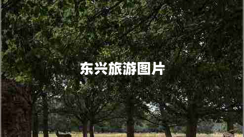 東興旅游圖片 東興旅游圖片