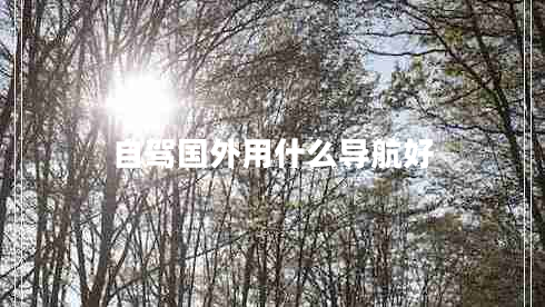 自駕國(guó)外用什么導(dǎo)航好