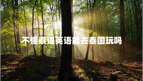 不懂泰語(yǔ)英語(yǔ)能去泰國(guó)玩嗎