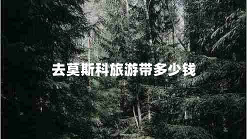 去莫斯科旅游帶多少錢