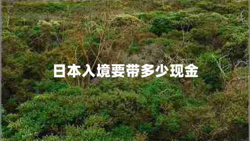 日本入境要帶多少現(xiàn)金