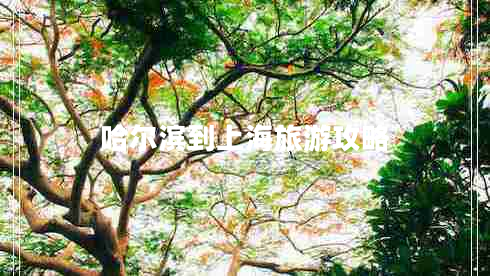 哈爾濱到上海旅游攻略 哈爾濱到上海旅游攻略