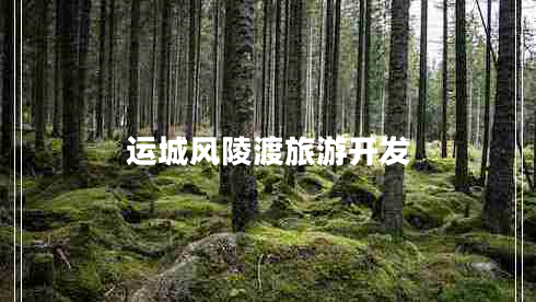 運(yùn)城風(fēng)陵渡旅游開發(fā) 運(yùn)城風(fēng)陵渡旅游開發(fā)