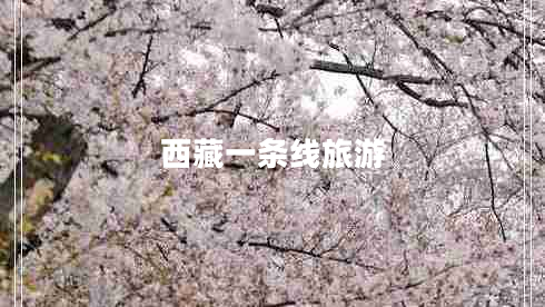 西藏一條線旅游 西藏一條線旅游