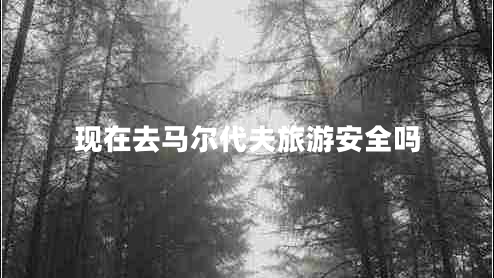 現(xiàn)在去馬爾代夫旅游安全嗎 現(xiàn)在去馬爾代夫旅游安全嗎