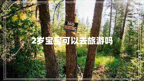 2歲寶寶可以去旅游嗎