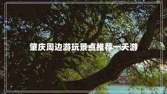 肇慶周邊游玩景點(diǎn)推薦一天游 肇慶周邊游玩景點(diǎn)推薦一天游