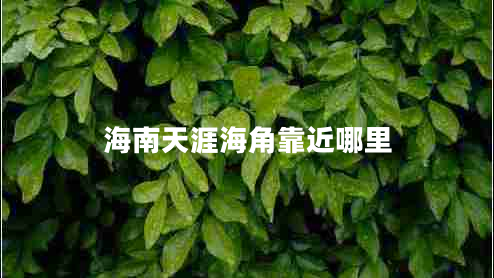 海南天涯海角靠近哪里 海南天涯海角靠近哪里