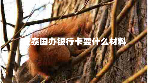 在泰國辦銀行卡要什么材料