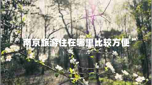 南京旅游住在哪里比較方便 南京旅游住在哪里比較方便
