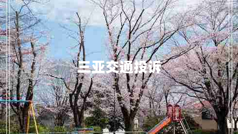 三亞交通投訴 三亞交通投訴