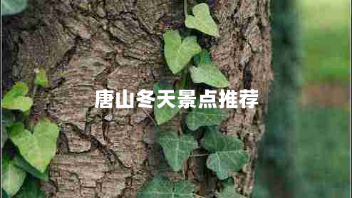 唐山冬天景點(diǎn)推薦 唐山冬天景點(diǎn)推薦