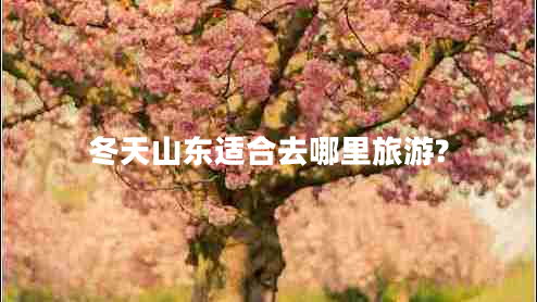冬天山東適合去哪里旅游? 冬天山東適合去哪里旅游?