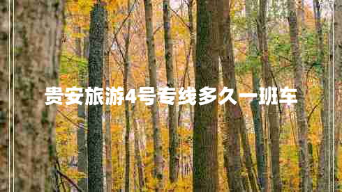 貴安旅游4號(hào)專線多久一班車