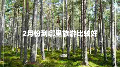 2月份到哪里旅游比較好 2月份到哪里旅游比較好