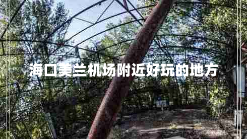 ?？诿捞m機(jī)場附近好玩的地方