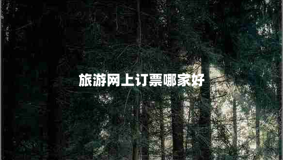 旅游網(wǎng)上訂票哪家好